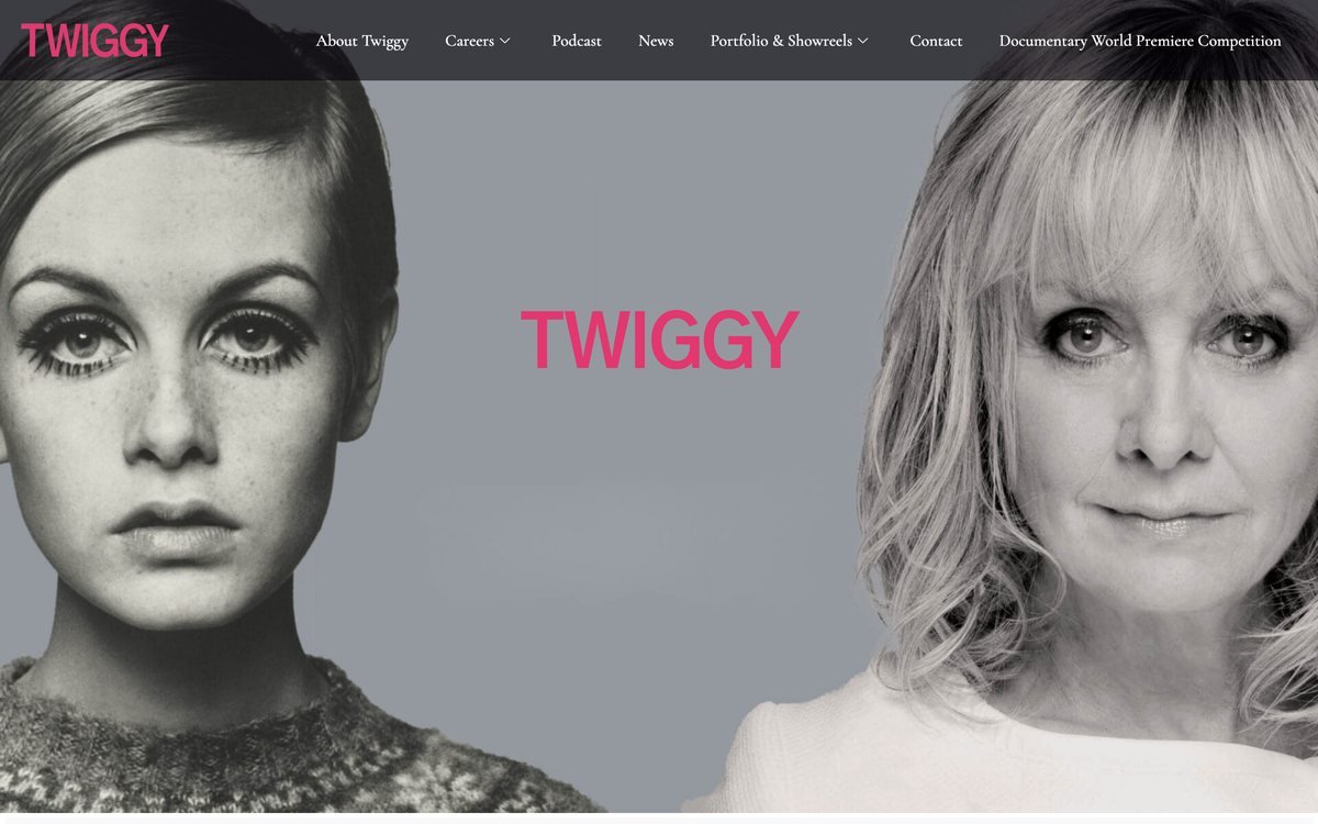 Twiggy website